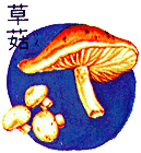 mushroom