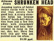 shrunken head