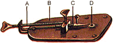 Leeuwenhoek's microscope