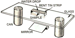microscope